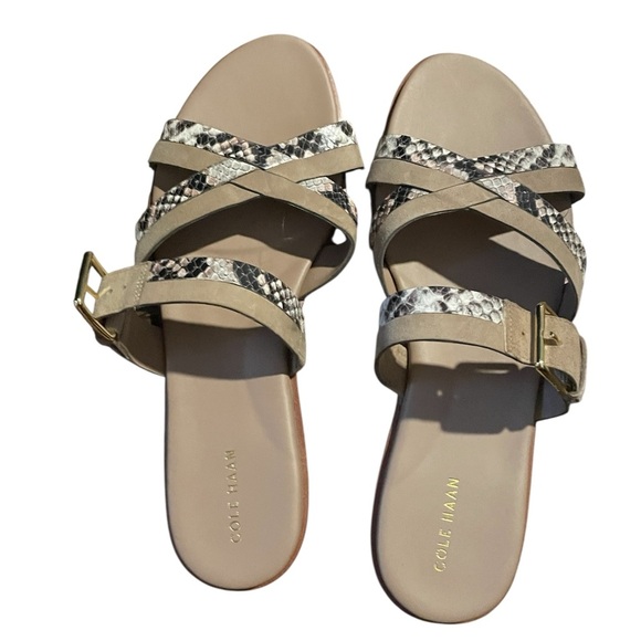 Cole Haan Python-Print Fairen Leather Strappy Buckle Slide Flat Sandals - Picture 3 of 4